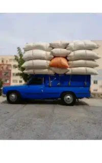 کاه نخود