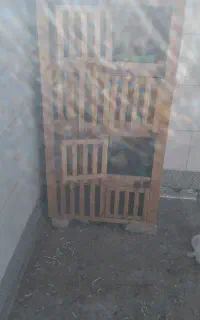 قفس مرغ