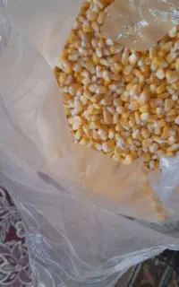 بلال