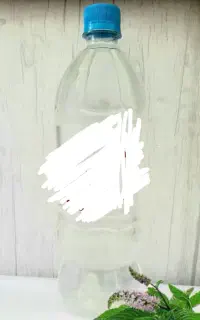 عرق پونه تازه