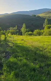 فروش ۱۰۰۰ متر باغ ویلایی در ییلاق آسکین غرق آباد