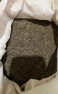زیره و آویشن کوهی