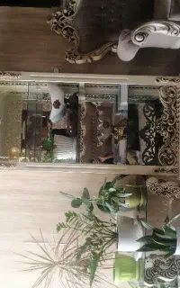 یک عدد بوفه کاملا سالم