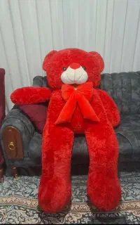 خرس بزرگ