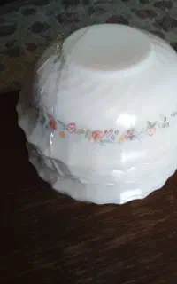 کاسه‌ابگوشت‌ویکتوریا