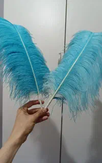 شاه پر تعزیه خوانی