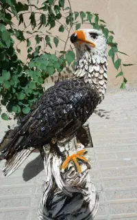 یکعدد مجسمه عقاب .مجسمه کاملا نو
