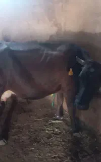 ۳۸۰ میلیون