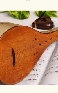 تدریس خصوصی سه تار ویژه ی بانوان و نوجوانان