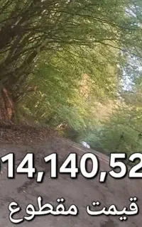 شماره دائمی قدیمی بسیار  رند ۱۴۰