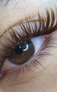 خدمات تخصصی اکستنشن مژه و لیفت مژه و ابرو