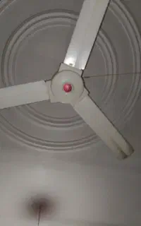 پنکه