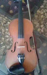 آموزش خصوصی ویولن