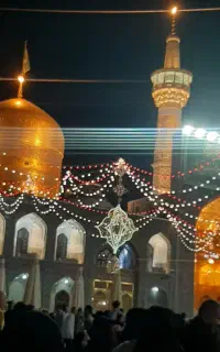 یا ضامن آهو هشتم حرکته
