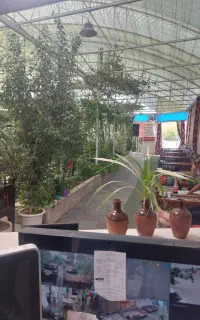 دی جی یا خواننده‌