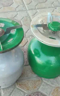 دو عدد پیک نیک همراه با سری