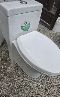 فرنگی نو،به قیمت