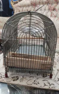 قفس