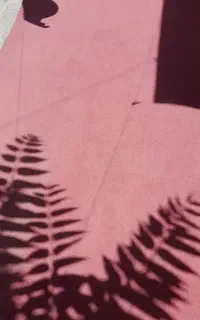 موکت ۶متری ۵۰۰