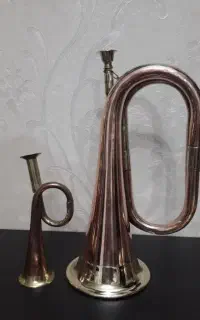 یک جفت شیپور خاص نو آک