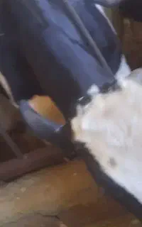 نیازمند کارگر ساده