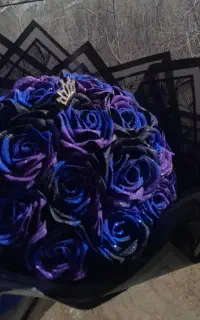 باکس حروف اسمی تک شاخه باکس کوچولو، تک شاخه و..