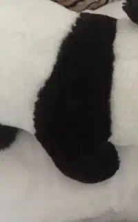 عروسک  پاندا و اسب تک شاخ