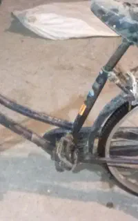 دوچرخ