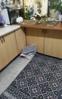 تنظیم کننده