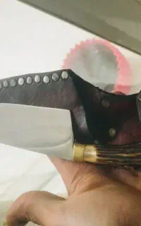 چاقه‌دسته‌شاخ‌