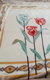 یکعدد پتو نو
