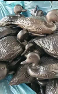 ماکت مرغابی نو