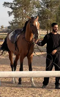 هیجان سوارکاری در باشگاه بانی با مجوز فدراسیون