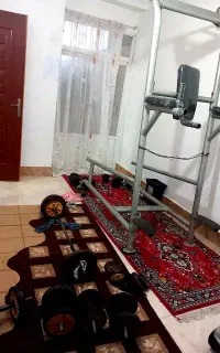 بارفیکس پارالل شنا خلبانی وسوئدی
