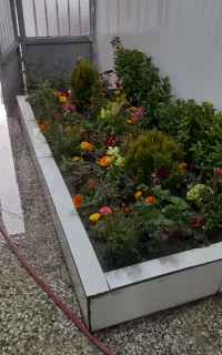 سمپاشی باغبانی تیلر زنی تعویض خاک باغچه