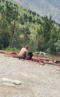 نیازمند آشپز خانگی