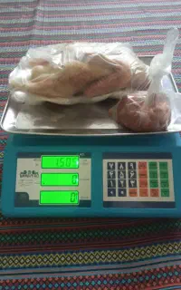 اردک محلی اردک خارجی