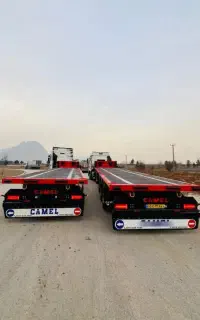 باربری مهدی