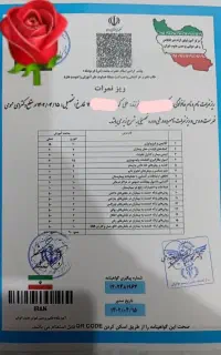 ارائه انواع مدرک بین المللی ومعادل تحصیلی
