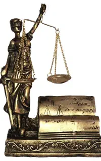 وکیل دادگستری(خانم) ،استاد دانشگاه