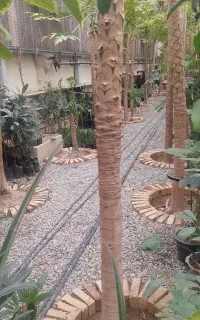 نظافت منزل و آشپزی