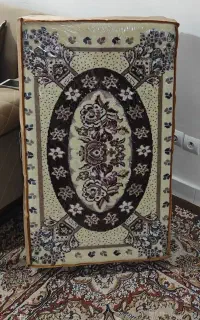 پشتی