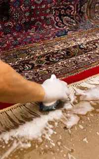 قالیشویی ستاره شستشوی تضمینی تخفیف ویژه