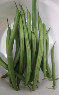 لوبیا سبز