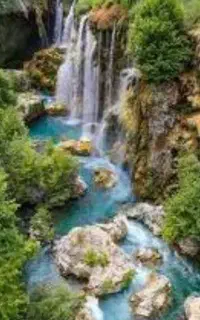 طبیعت گردی