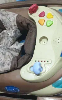 روروئک چیکو سنتر