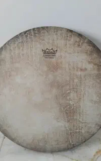 دف سماء نو