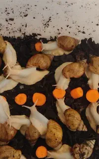 با ۱۰ میلیون تومن سرمایه کارتو شروع کن