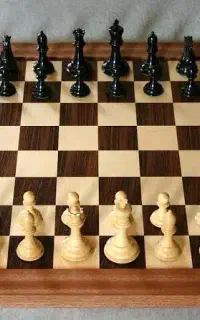 استخدام مربی شطرنج سطح متوسطه