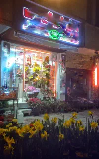 فروش مغازه حکیم نظامی